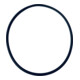 Wilo mechanisches Ersatzteil O-Ring Id.107,54X3,53 VP.-1