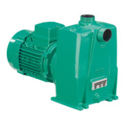 Wilo Pompe eaux usées Drain LPC 50/25, G 2, 2,2 kW, auto-amorçante-3