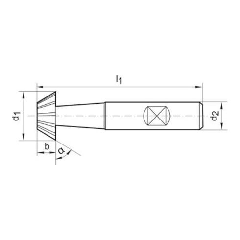 Winkelf.D1833D HSSCo5 60G16mm FORMAT