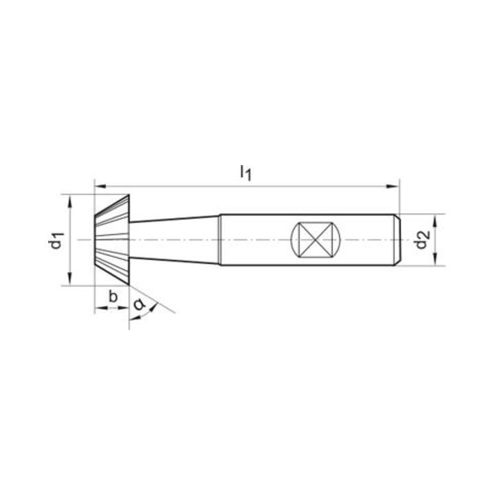 Winkelfräser D1833D HSSCo5 60G38mm FORMAT