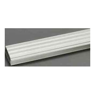Wöhner Couvre-rails collecteurs 12-30 x 10 1 mètre 01245