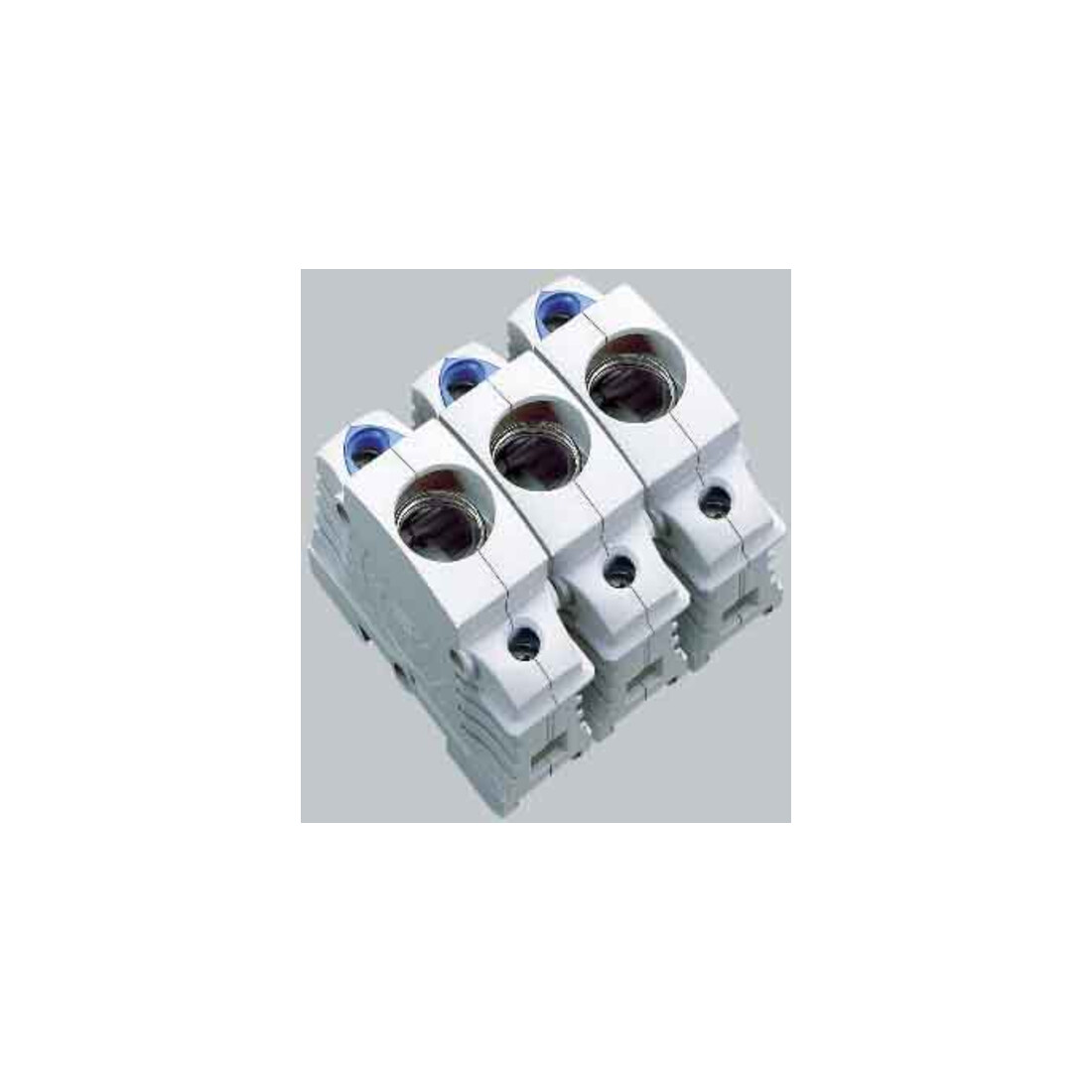 Wöhner Support de fusible 31293
