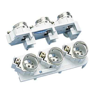 Wöhner Support de fusible 31919 63 A 690 V plastique DIII