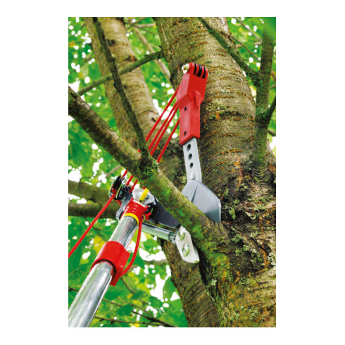 WOLF-Garen - Profi-Baumschere multi-star® RC-VM