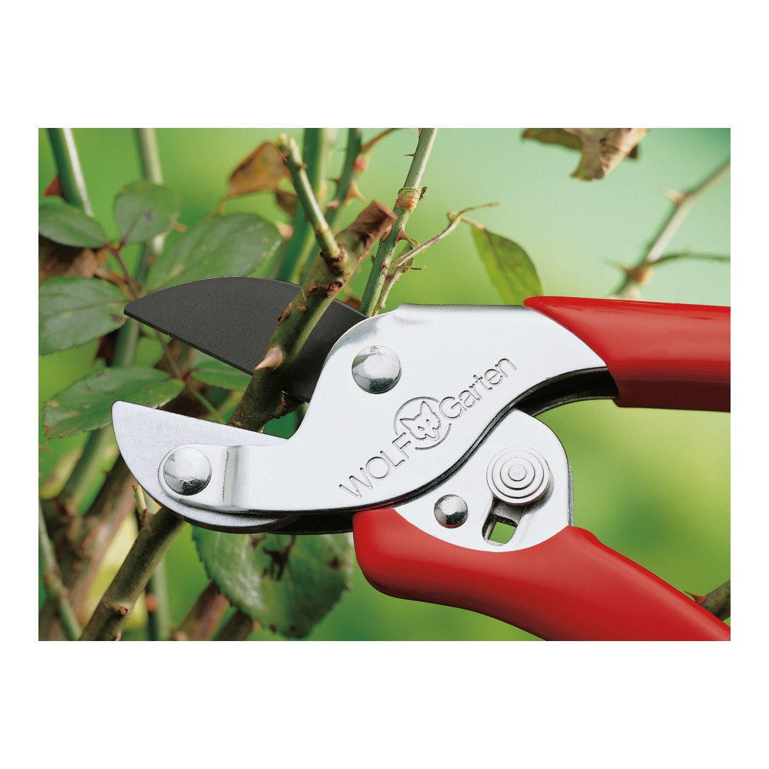 WOLF-Garten Amboss-Gartenschere RS-EN