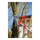 WOLF-Garten - Forbice professionale per potatura multi-star® RC-VM-2