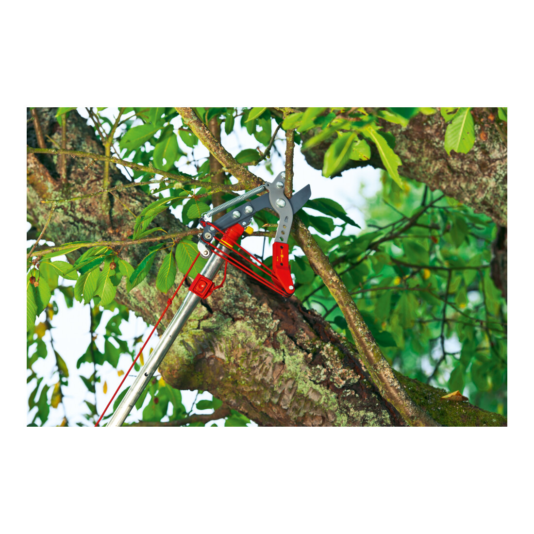 WOLF-Garten - Forbice professionale per potatura multi-star® RC-VM