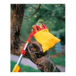 WOLF-Garten multi-star® Cueilleur de fruits RG-M