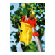WOLF-Garten multi-star® Raccoglifrutta RG-M-3