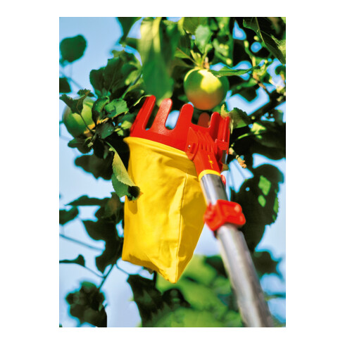 WOLF-Garten multi-star® Raccoglifrutta RG-M