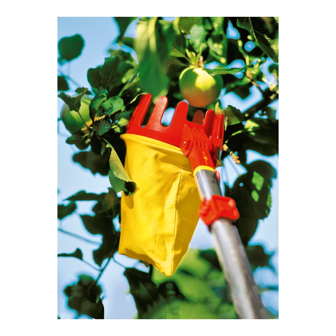 WOLF-Garten multi-star® Raccoglifrutta RG-M