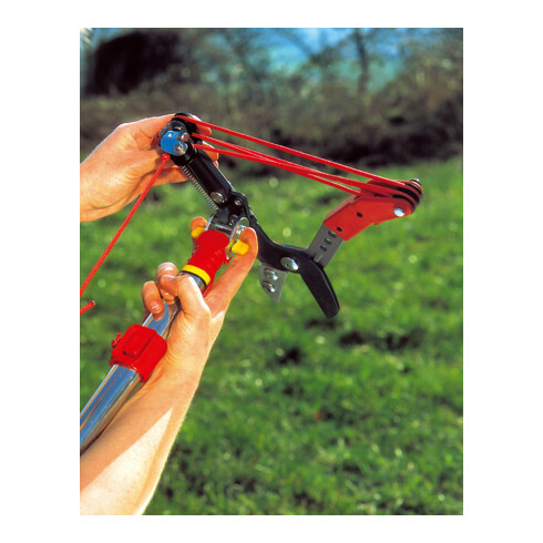 WOLF-Garten - Profi-Takkenschaar multi-star® RC-VM