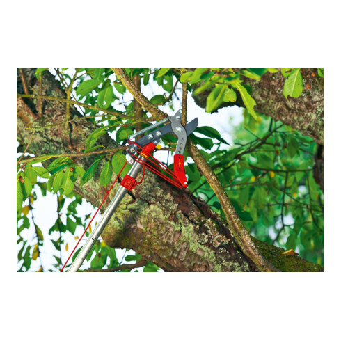 WOLF-Garten - Profi-Takkenschaar multi-star® RC-VM