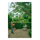 WOLF-Garten - Profi-Takkenschaar multi-star® RC-VM-5
