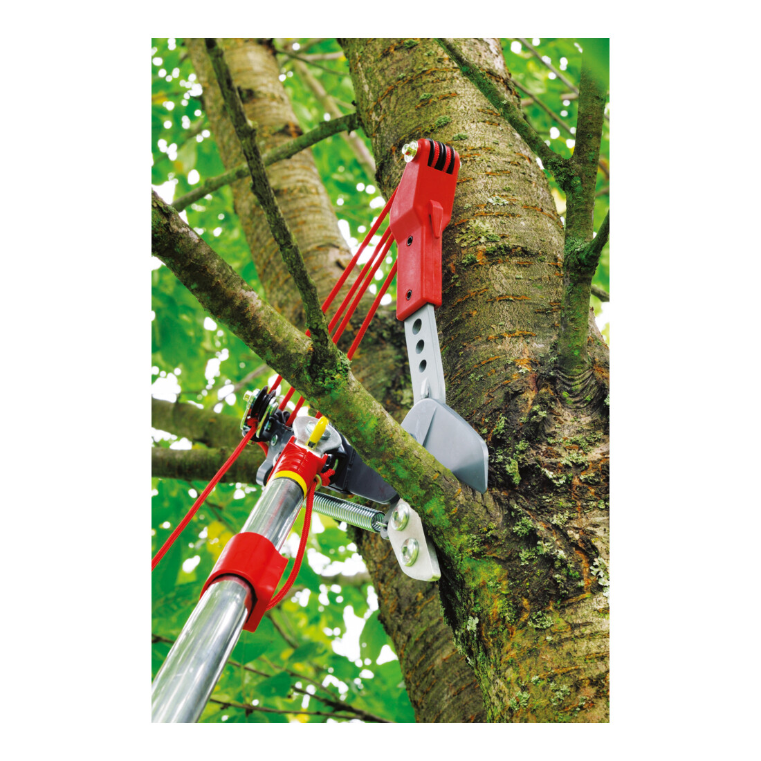 WOLF-Garten - Profi-Takkenschaar multi-star® RC-VM