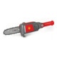 WOLF-Garten PS 20 eM e-multi-star Hoch-Entaster-1