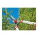 Wolf-Garten Tuin Telescoop-Heggenschaar HS 1000 T-5