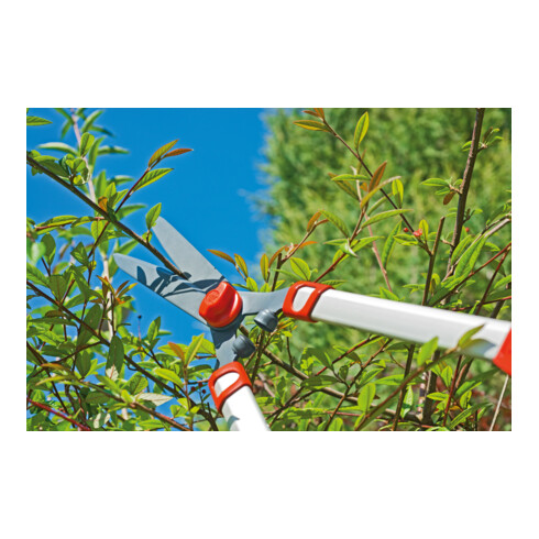 Wolf-Garten Tuin Telescoop-Heggenschaar HS 1000 T