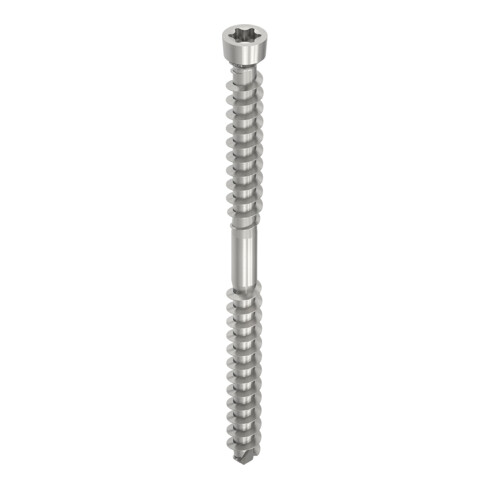 WT-S A2 6,5 x 130, tête fraisée cylindrique, T-Drive, FST, W15, 100 pcs. (WT-S-6,5X130)
