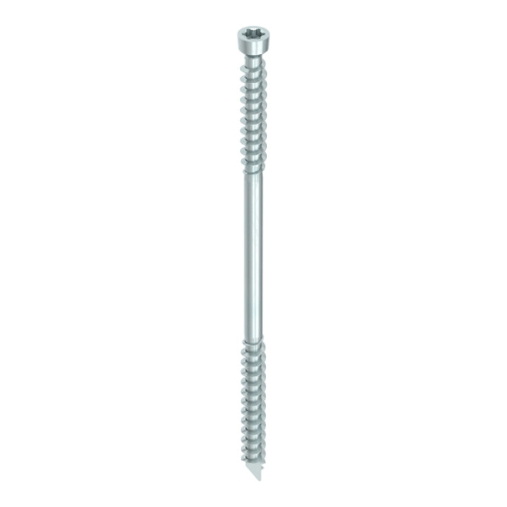 WT-T 8,2 x 245, tête fraisée cylindrique, T-Drive, FST, A3K, 50 pcs. (WT-T 8,2x245 znb)