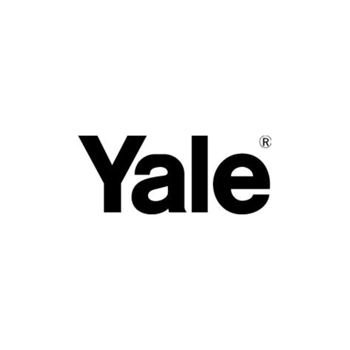 YALE Handy 250 kg Allzweckgerät