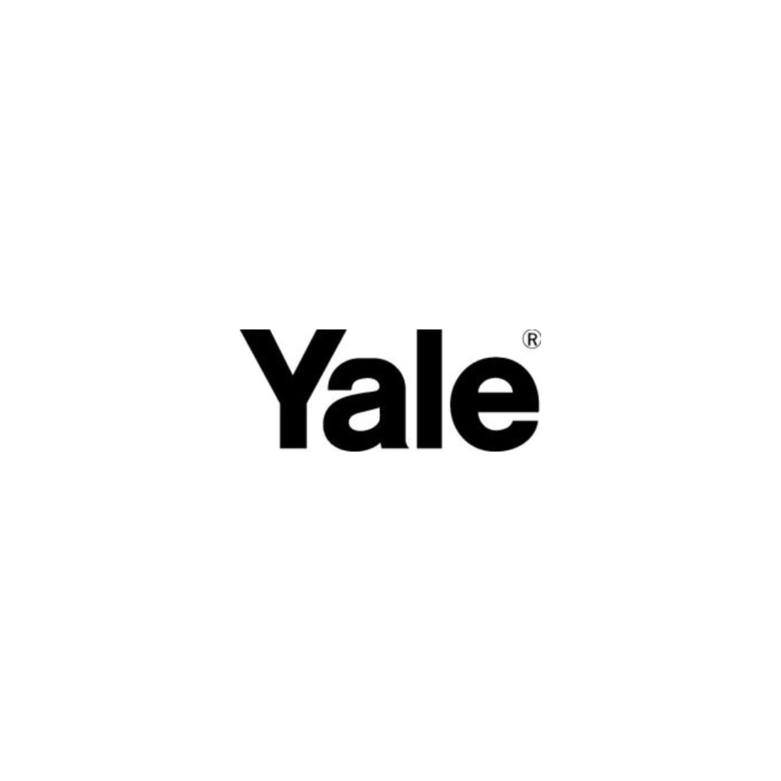 YALE Handy 250 kg Allzweckgerät