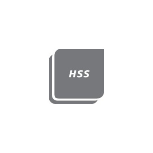 Zapfensenker HSS Gr. 2 40mm GFS