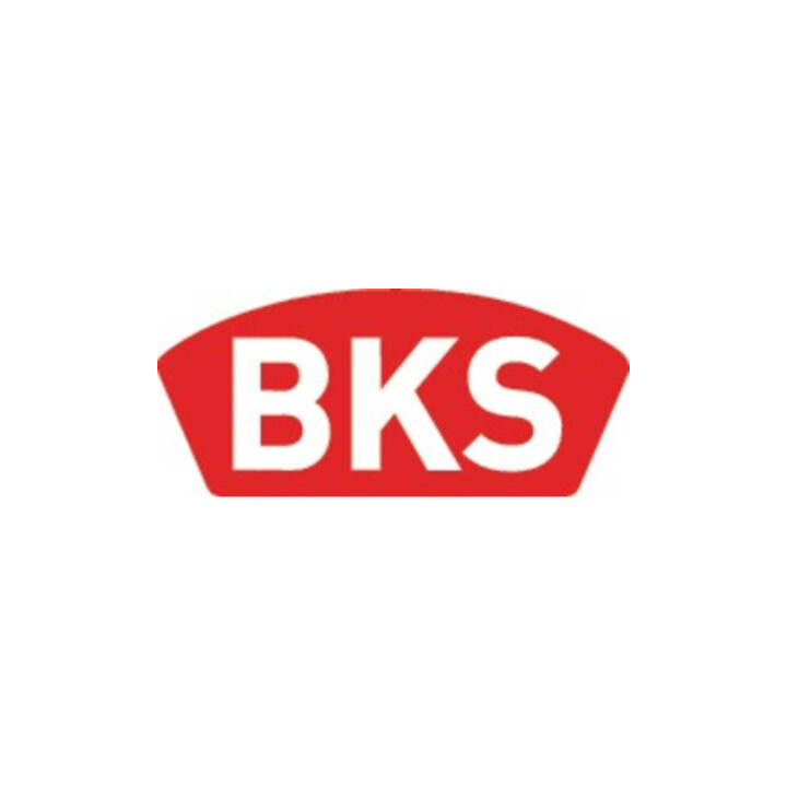 ZT-Einsteckschl.0515 BAD 20/ 65/78/8mm DIN R VA rd Kl 3 Zinkdruckgruss BKS