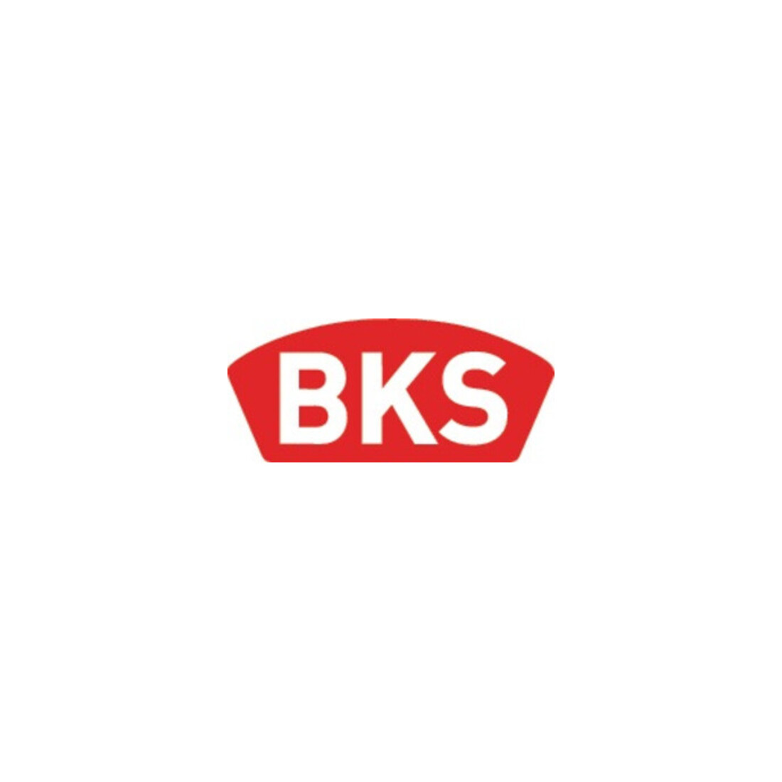 ZT-Einsteckschl.0515 BAD 20/ 65/78/8mm DIN R VA rd Kl 3 Zinkdruckgruss BKS